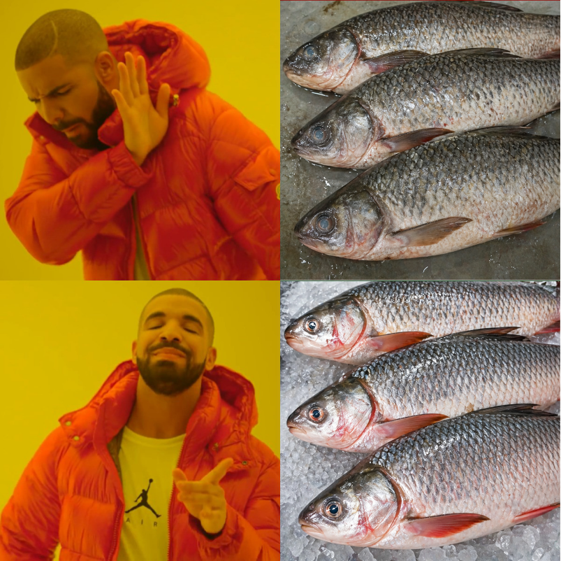 Original Drake meme: rejecting the first fish photograph and approving the brighter-looking fish below. Both reaction panels and fish photographs are retained together.