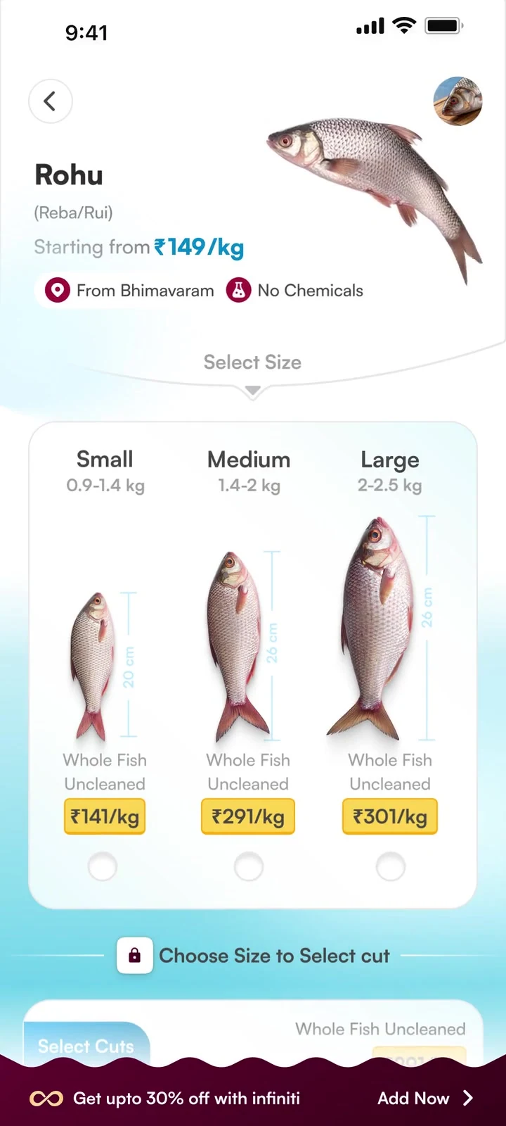 Whole-fish sizes compared side by side