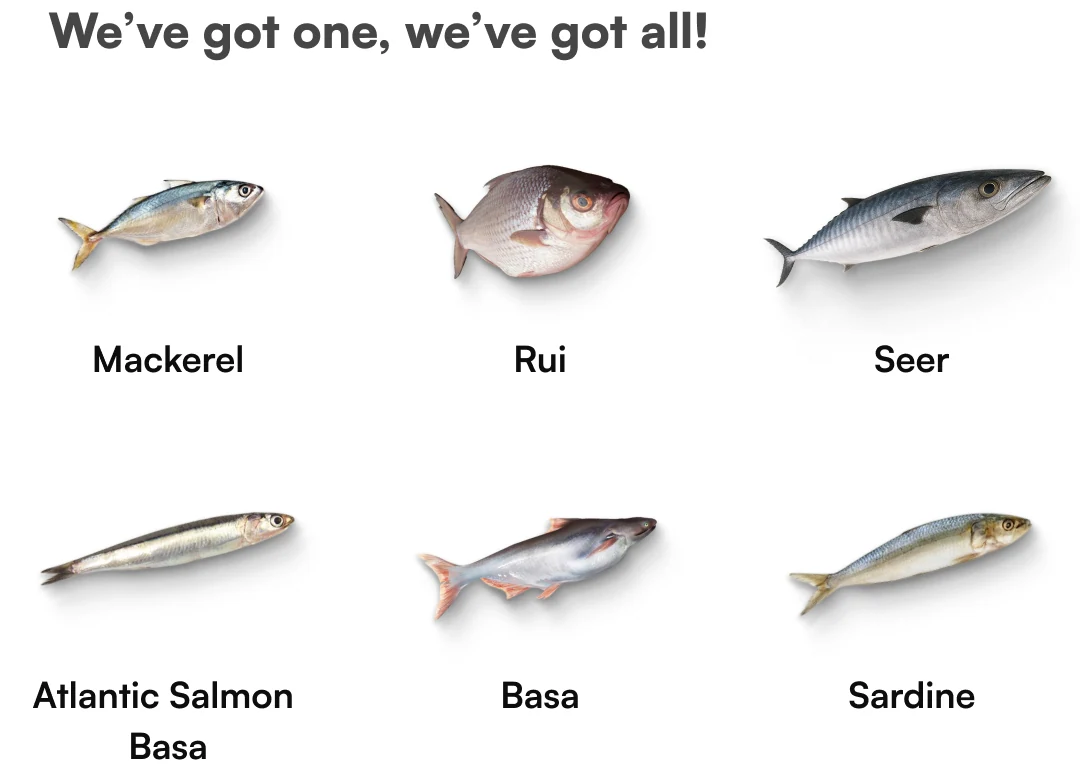 FnS variety widget presenting six fish options