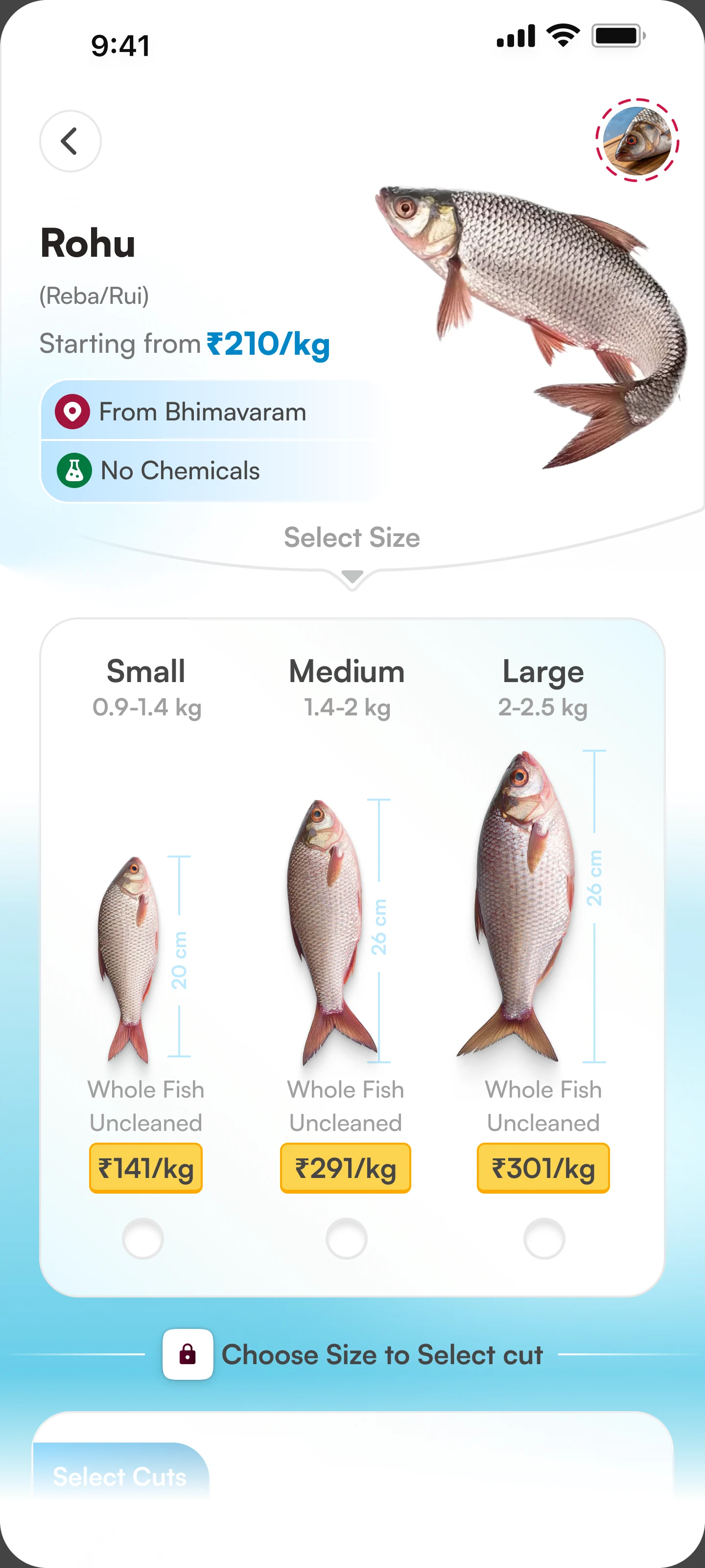 Small, medium and large fish with their weights, lengths and price per kilogram