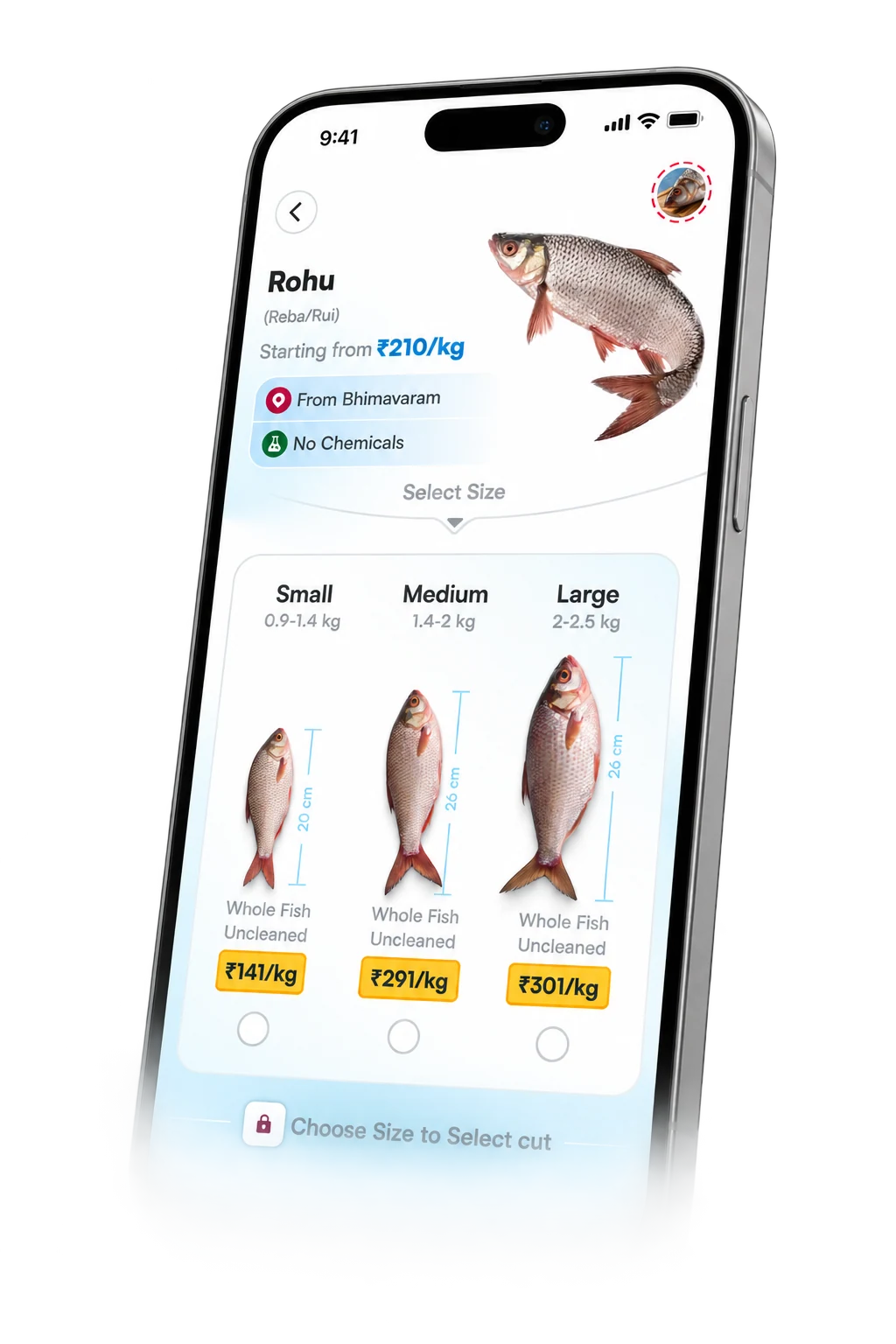 Fish and Seafood product experience shown in a finished phone mockup