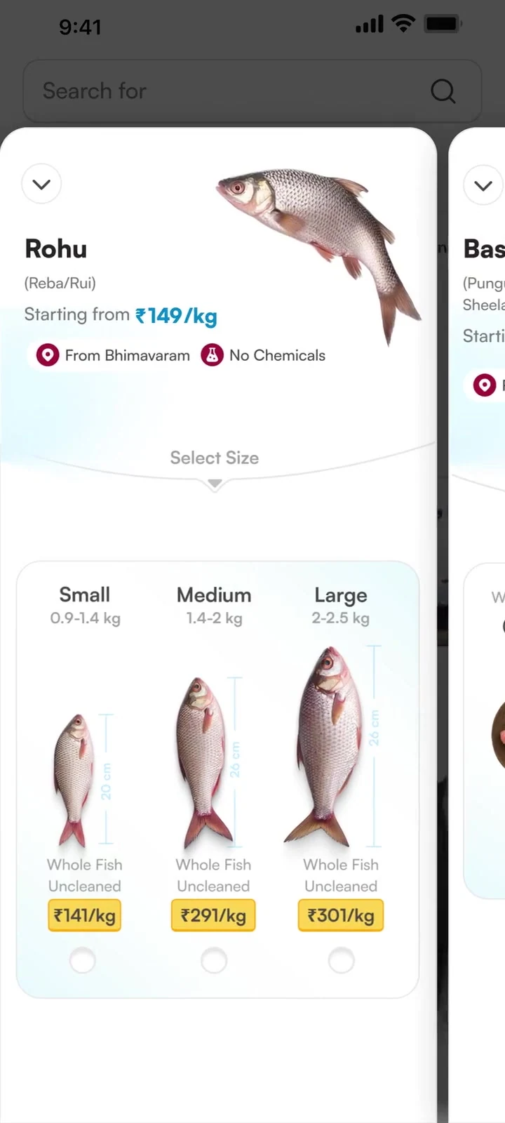 PFLP showing the Rohu fish sheet, its size options and the adjacent Basa sheet