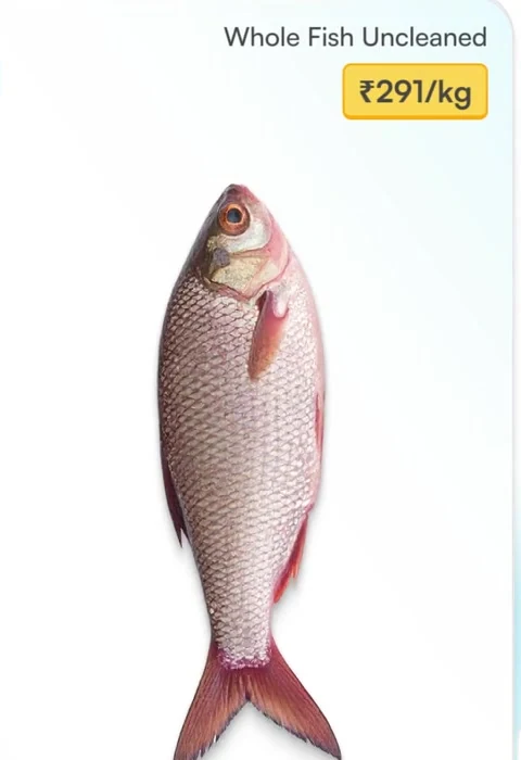 Whole fish from the actual product journey